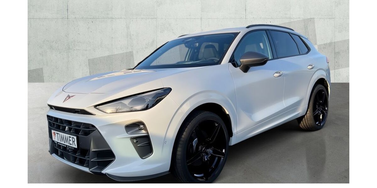 Cupra Terramar 3.999 km 52.870 &euro; Nordhorn 48529