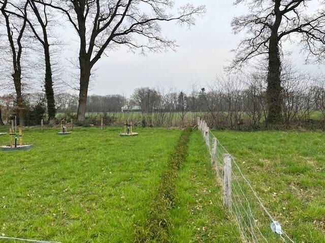 Grundstück Wielen - 79.000&euro; | Angebot:26066008