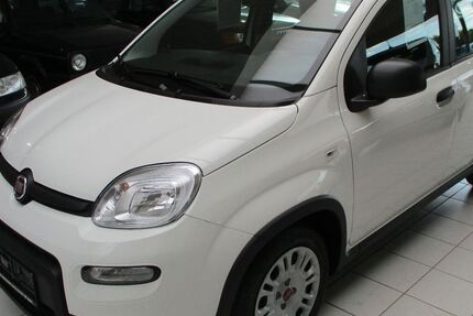 Fiat Panda 5.000 km 13.950 &euro; Lingen - Baccum 49811
