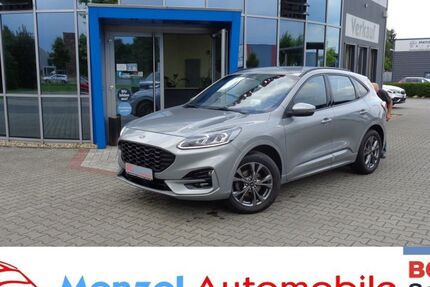 Ford Kuga 140.390 km 20.490 &euro; Schüttorf 48465