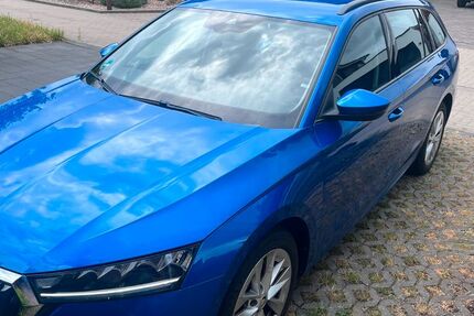 Skoda Octavia 135.000 km 15.000 &euro; Beesten 49832