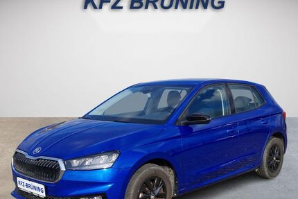 Skoda Fabia 8.873 km 17.580 &euro; Lingen (Ems) 49811