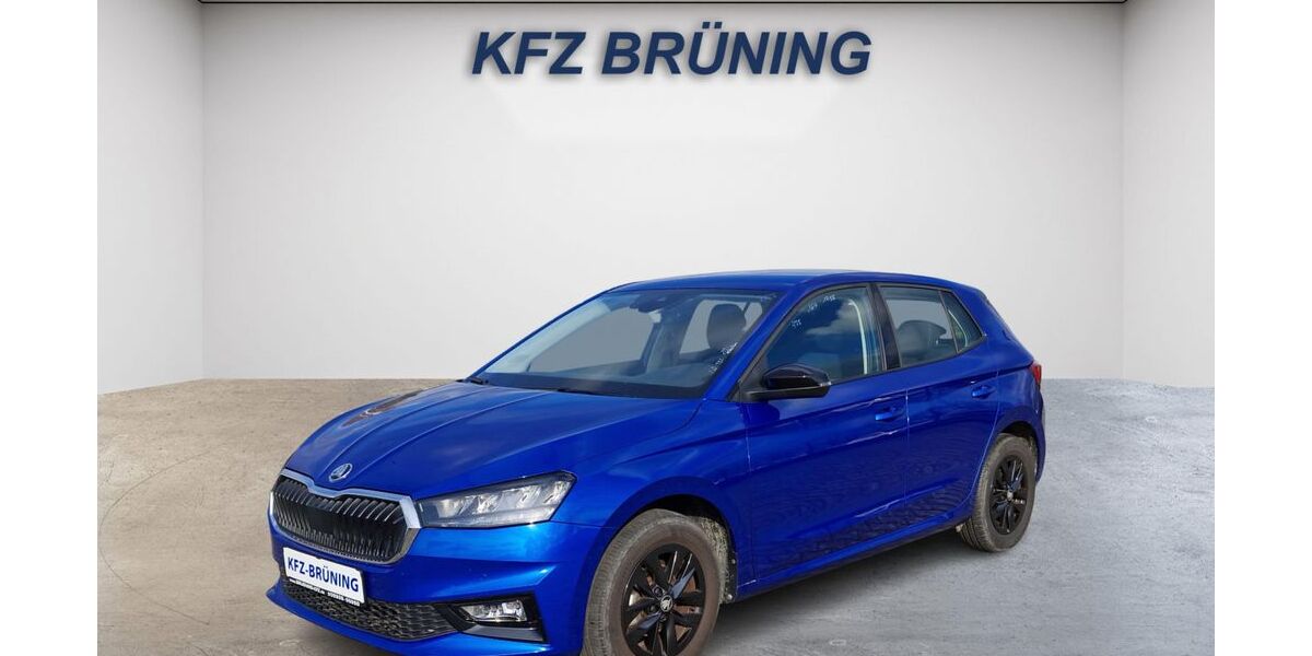 Skoda Fabia 8.873 km 17.580 &euro; Lingen (Ems) 49811