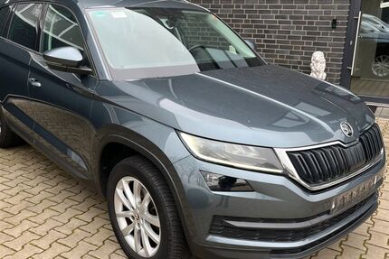 Skoda Kodiaq 195.000 km 16.065 &euro; Neuenhaus 49828