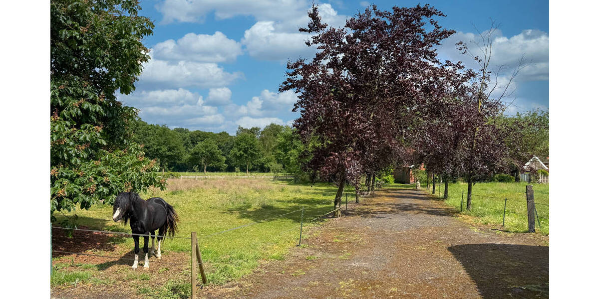 Mehrfamilienhaus, Wohnhaus Nordhorn Bookholt - 549.000&euro; | Angebot:25726510