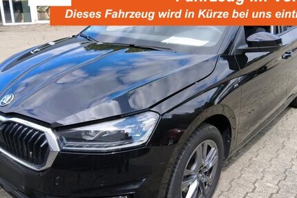 Skoda Fabia 44.110 km 17.390 &euro; Lingen 49808