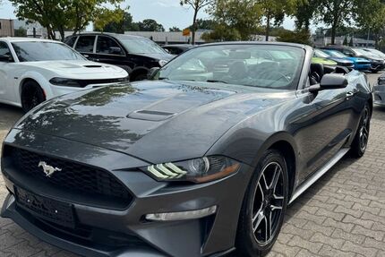 Ford Mustang 95.000 km 24.999 &euro; Schüttorf 48465