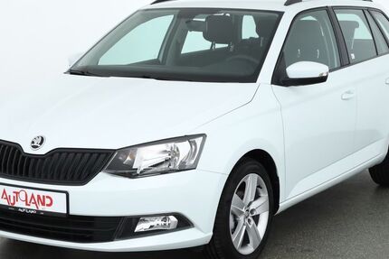 Skoda Fabia 54.529 km 13.890 &euro; Wietmarschen 49835