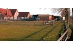 Mehrfamilienhaus, Wohnhaus Emlichheim - 11 Zimmer, 300 m&sup2;, 795.000&euro; | Angebot:26621622