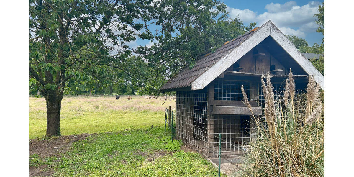 Mehrfamilienhaus, Wohnhaus Nordhorn Bookholt - 549.000&euro; | Angebot:25726510