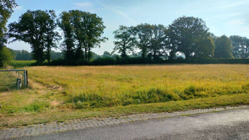 Grundstück Wielen - 79.000&euro; | Angebot:26066008