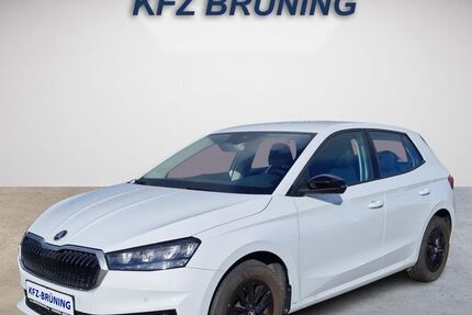 Skoda Fabia 23.036 km 15.180 &euro; Lingen (Ems) 49811