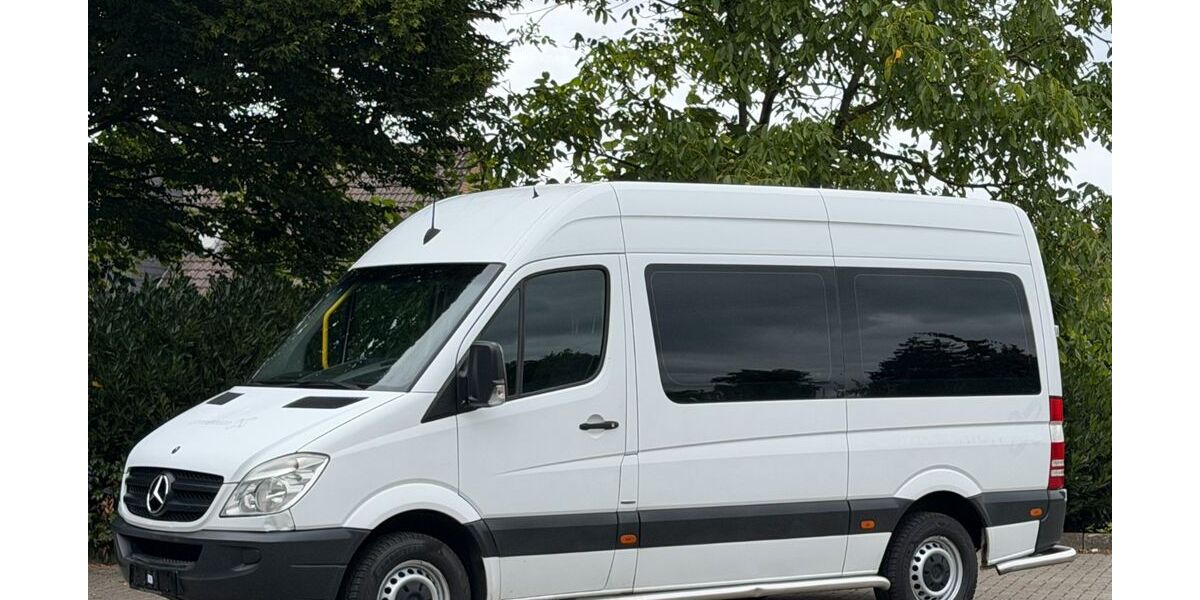 Mercedes-Benz Sprinter 542.844 km 8.211 &euro; Bad Bentheim 48455