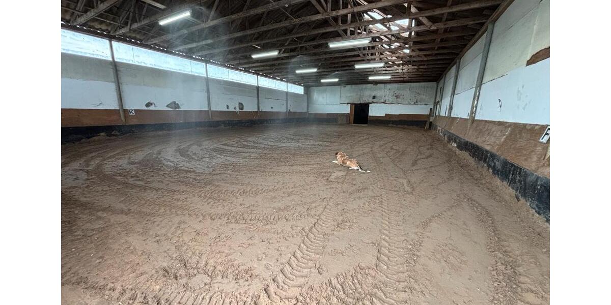 Einfamilienhaus Hoogstede - 5 Zimmer, 140 m&sup2;, 500.000&euro; | Angebot:26018301