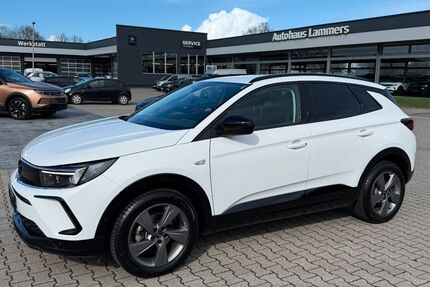 Opel Grandland (X) 39.000 km 25.400 &euro; Wietmarschen / Lohne 49835
