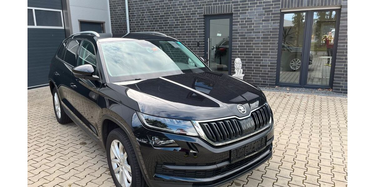 Skoda Kodiaq 231.000 km 15.900 &euro; Neuenhaus 49828