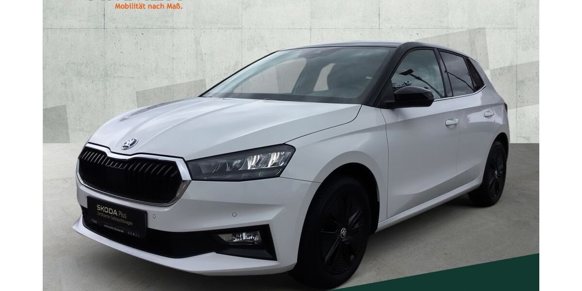 Skoda Fabia 74.172 km 15.490 &euro; Lingen 49808