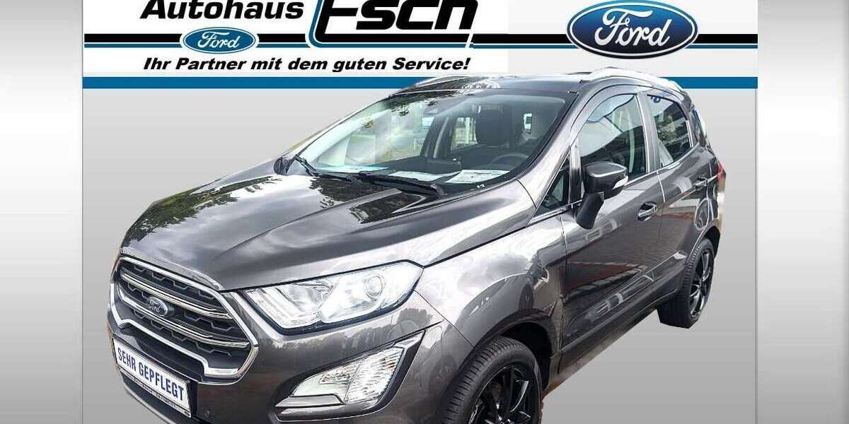 Ford EcoSport 67.850 km 16.950 &euro; Beesten 49832