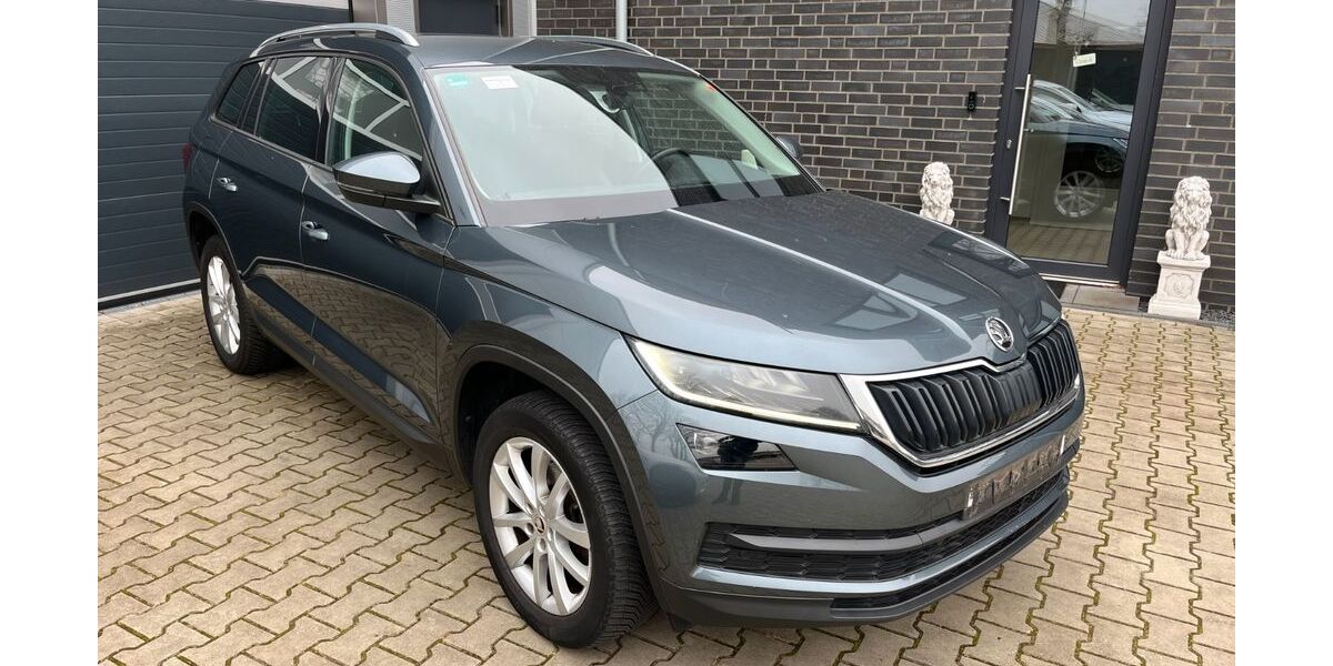 Skoda Kodiaq 195.000 km 16.065 &euro; Neuenhaus 49828
