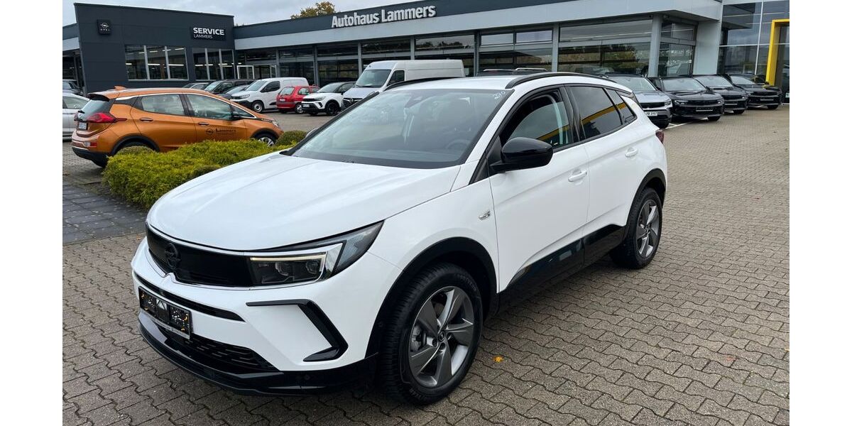 Opel Grandland (X) 9.673 km 25.990 &euro; Wietmarschen / Lohne 49835