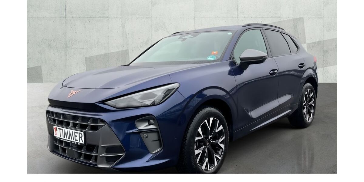 Cupra Terramar 26.025 km 33.690 &euro; Nordhorn 48529