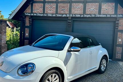 VW Beetle 68.200 km 14.300 &euro; Neuenkirchen 48485