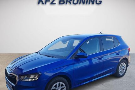 Skoda Fabia 28.279 km 18.480 &euro; Lingen (Ems) 49811