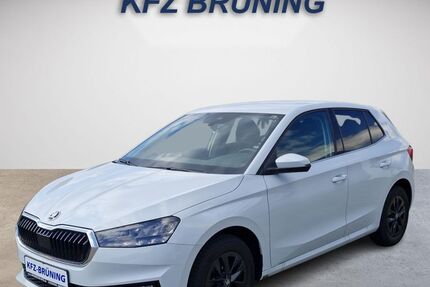 Skoda Fabia 11.400 km 16.180 &euro; Lingen (Ems) 49811