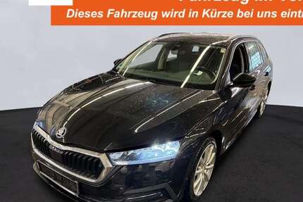 Skoda Octavia 79.164 km 21.850 &euro; Gronau 48599
