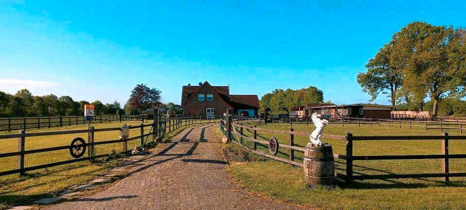 Mehrfamilienhaus, Wohnhaus Emlichheim - 11 Zimmer, 300 m&sup2;, 795.000&euro; | Angebot:26621622
