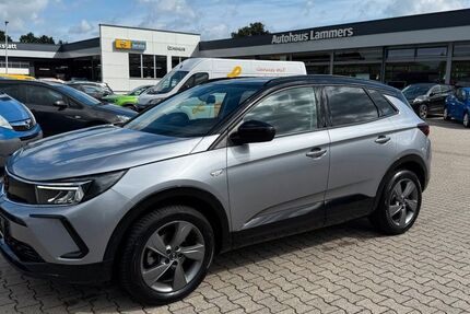 Opel Grandland (X) 42.500 km 23.490 &euro; Wietmarschen / Lohne 49835