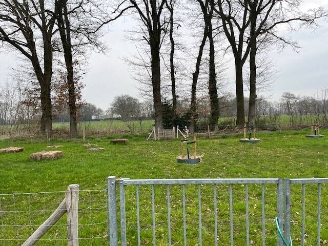 Grundstück Wielen - 79.000&euro; | Angebot:26066008