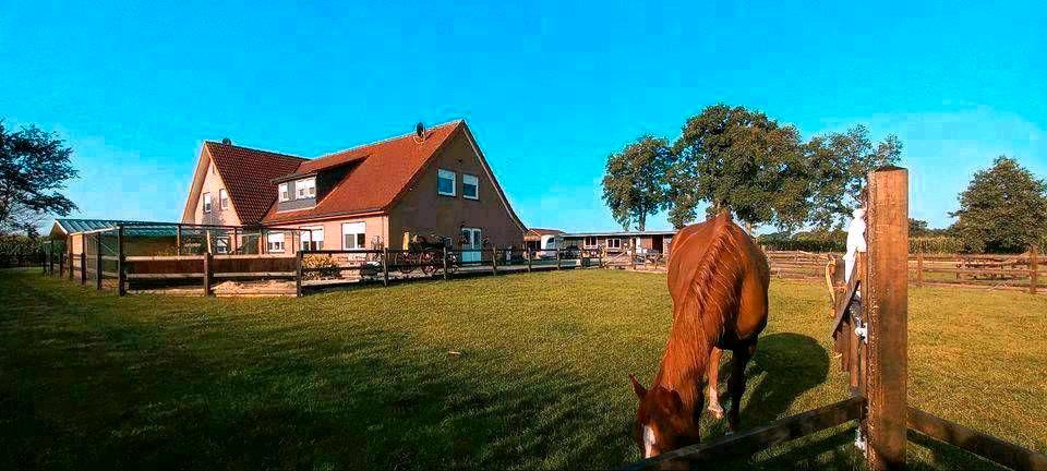 Mehrfamilienhaus, Wohnhaus Emlichheim - 11 Zimmer, 300 m&sup2;, 795.000&euro; | Angebot:26621622