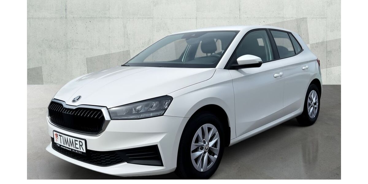 Skoda Fabia 61.986 km 13.750 &euro; Nordhorn 48529