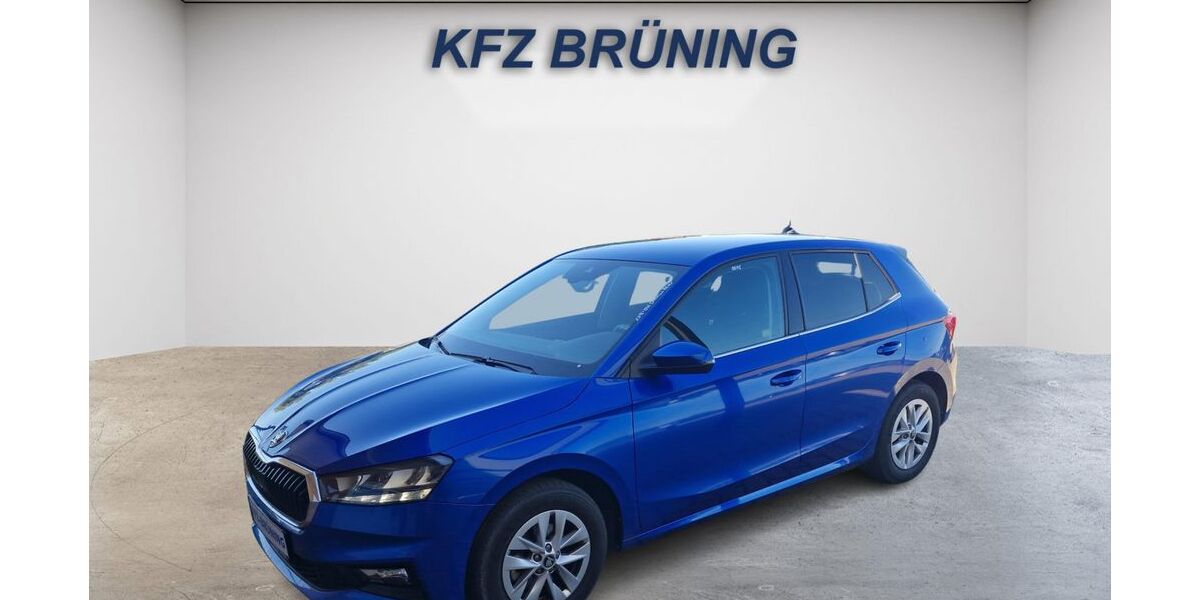 Skoda Fabia 26.299 km 18.980 &euro; Lingen (Ems) 49811