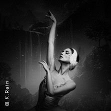 Grand Classic Ballet - Schwanensee - Jenseits der Bühne mit live Streichquartett 24.09.2026 Alte Weberei Nordhorn