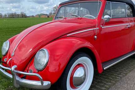 VW Käfer 52.000 km 39.500 &euro; Bad Bentheim 48455