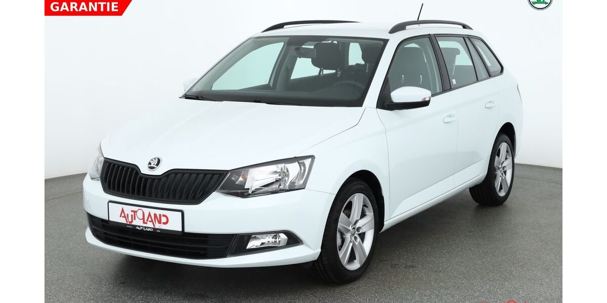 Skoda Fabia 54.529 km 13.990 &euro; Wietmarschen 49835