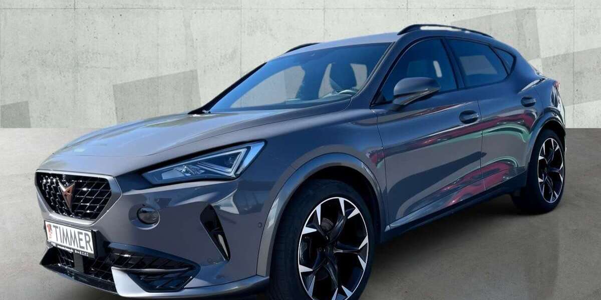 Cupra Formentor 54.552 km 25.690 &euro; Nordhorn 48529