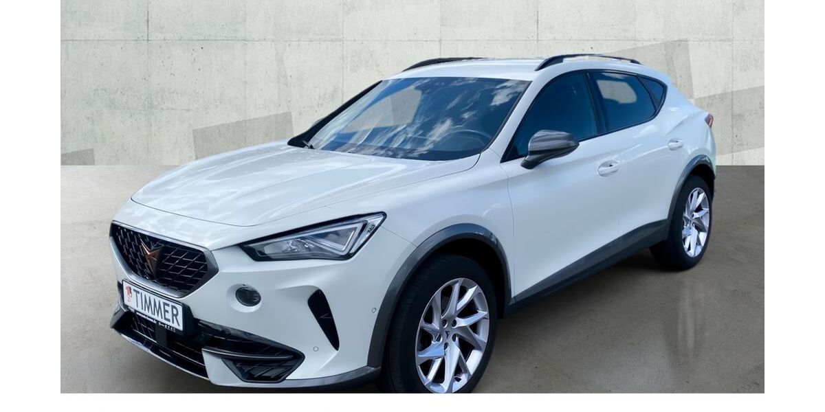 Cupra Formentor 94.396 km 22.350 &euro; Nordhorn 48529