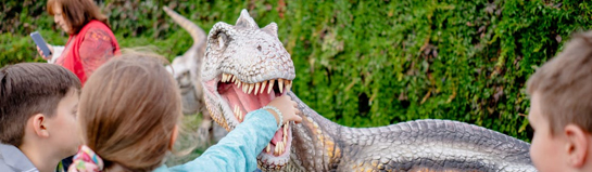 Drouwenerzand Plopsa Coevorden Dinoland Zwolle Niederlande Drenthe