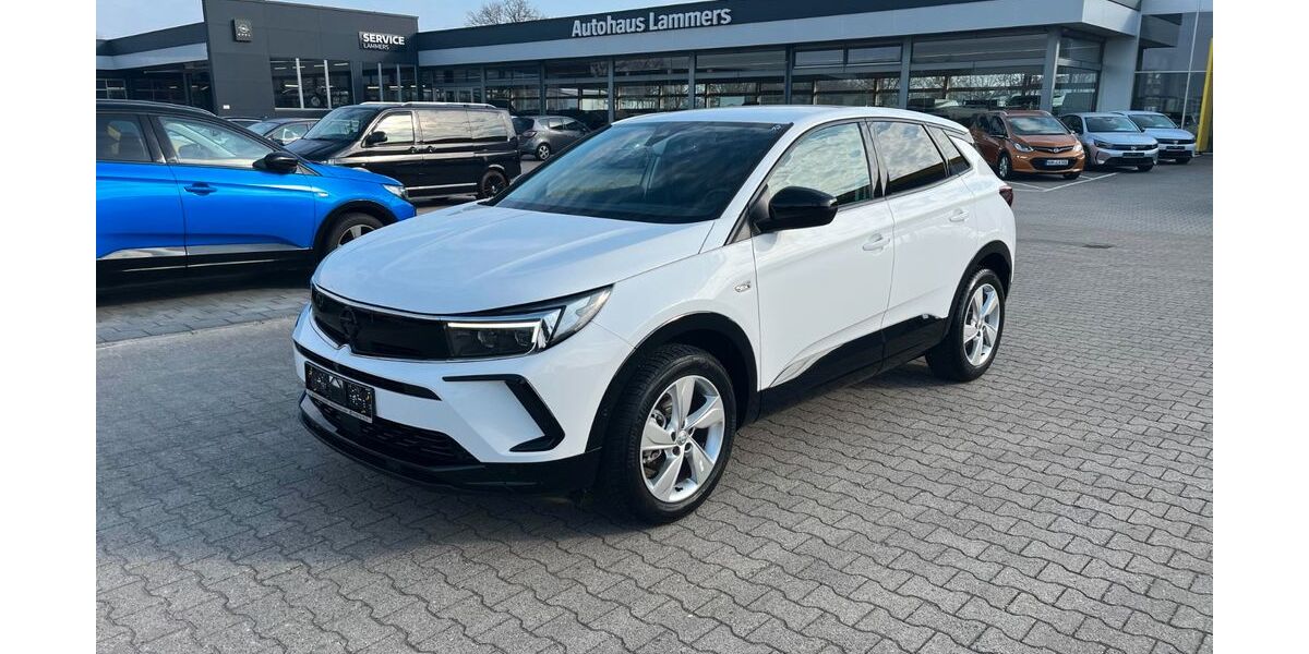 Opel Grandland (X) 10.423 km 24.780 &euro; Wietmarschen / Lohne 49835