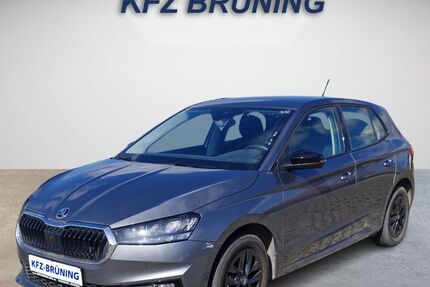 Skoda Fabia 19.245 km 17.580 &euro; Lingen (Ems) 49811