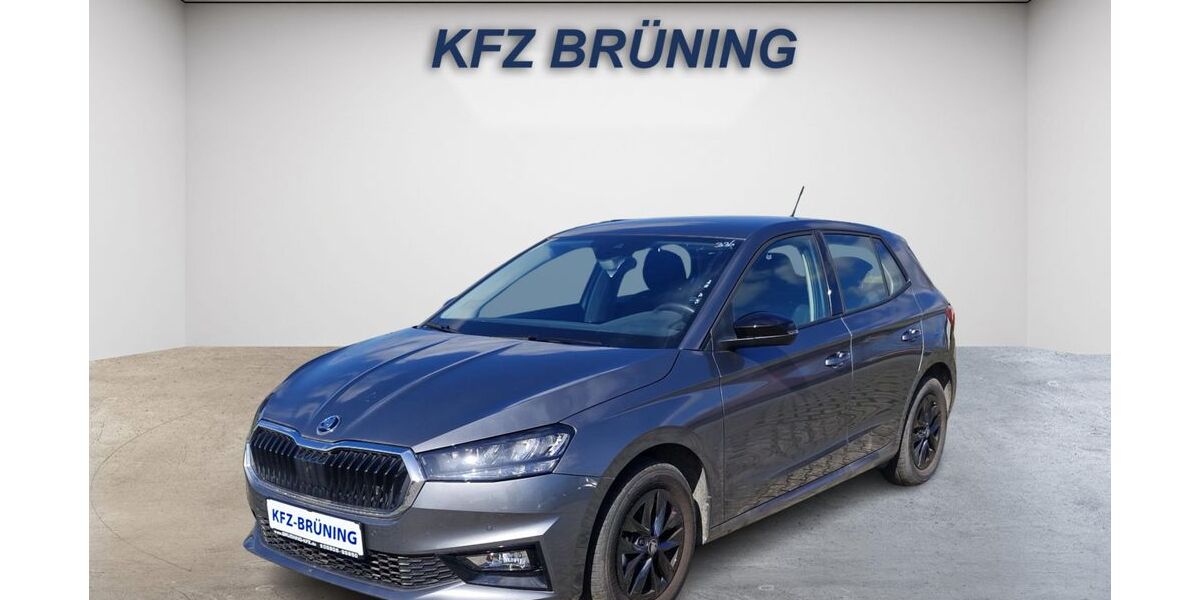 Skoda Fabia 20.318 km 17.380 &euro; Lingen (Ems) 49811