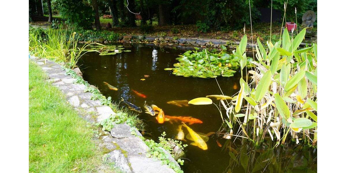 Mehrfamilienhaus, Wohnhaus Gronau Epe - 649.000&euro; | Angebot:25695056