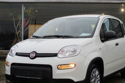 Fiat Panda 9.900 km 13.990 &euro; Lingen - Baccum 49811