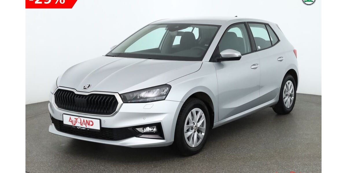 Skoda Fabia 25.875 km 20.490 &euro; Wietmarschen 49835