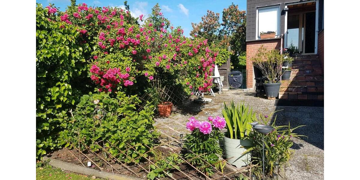 Erdgeschoßwohnung Schüttorf - 4 Zimmer, 120 m&sup2;, 1.200&euro; | Angebot:25170074