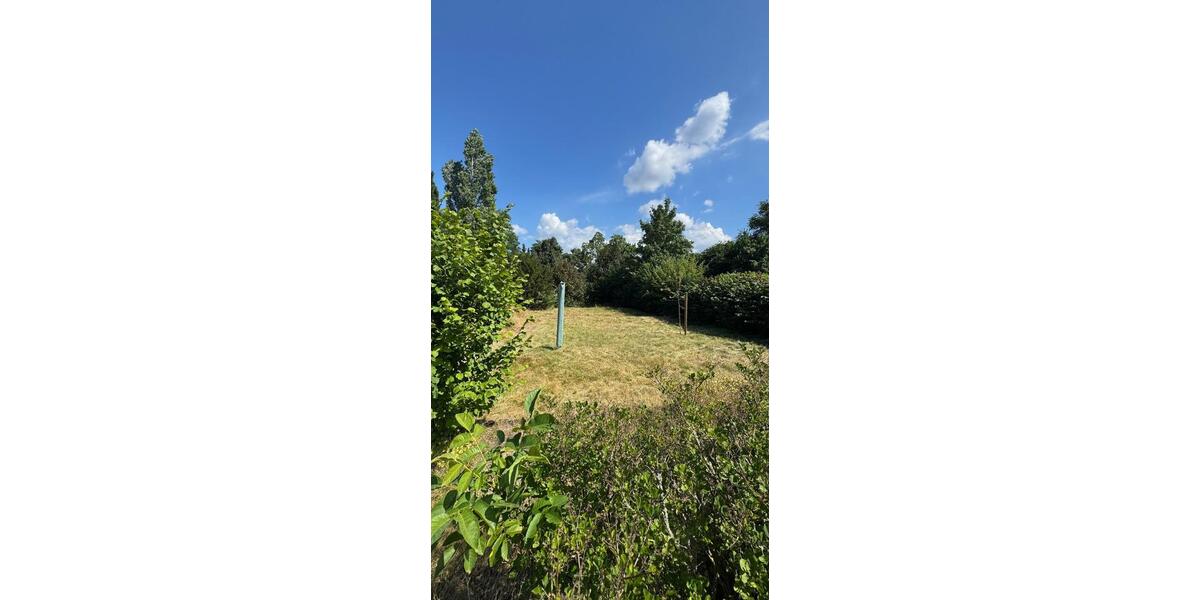 Doppelhaushälfte Lingen (Ems) - 4 Zimmer, 90 m&sup2;, 344.000&euro; | Angebot:27023981