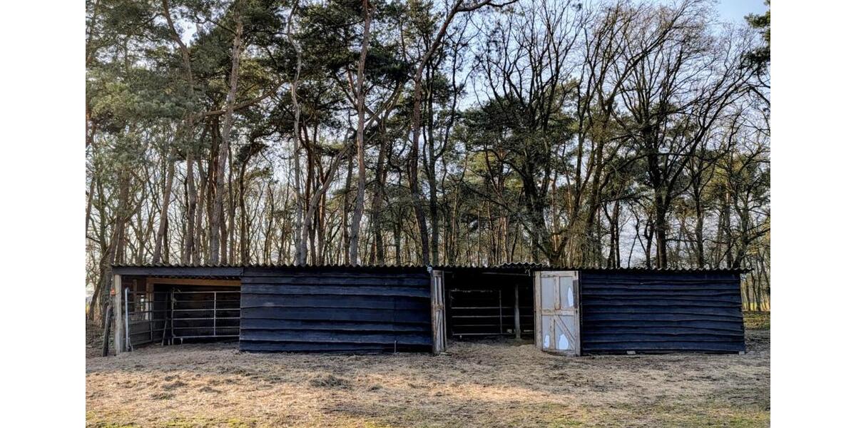 Bauernhaus, Landhaus Gronau (Westfahlen) - 5 Zimmer, 161 m&sup2;, 1.495.000&euro; | Angebot:25353059